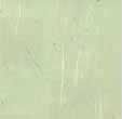 Textures 478